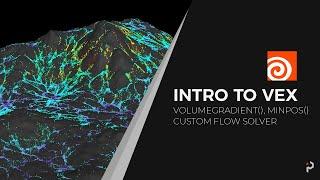 Houdini 18 - Intro to VEX - VolumeGradient - Min Pos - Custom Flow Solver