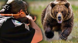 POLICE Get Involved in KILLING Wild Bear | FULL DOCUMENTARY | Curious?: Natural World