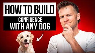 Why is my dog afraid of everything? 5 Reasons dogs become fearful- Dog Training Video