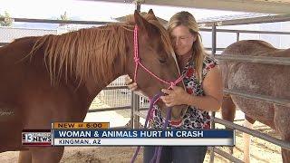 Wanita selamat dari kecelakaan Arizona dengan banyak hewan yang dia selamatkan