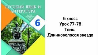 Русский язык 6 класс Уроки 77-78 Тема: Длинноволосая звезда