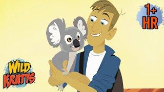 Koalas, Kangaroos & More! | Wild Kratts Animal Adventures for Kids | 9 Story Kids