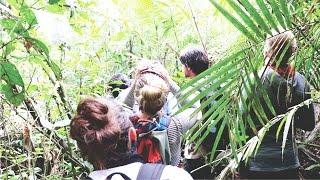 Amazonas: Dschungel Tour im Tapiche Reserve • Peru • Weltreise Vlog #030