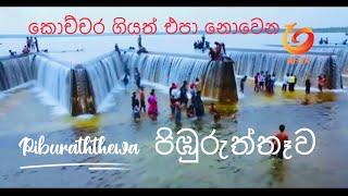 Piburuththewa In Polonnaruwa | පිඹුරුත්ගෑව පොලොන්නරුව | Travel Vlog | Best Travels in Sri Lanka