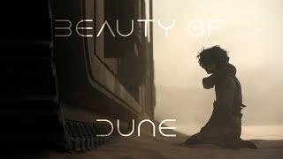 1 Minute of The Beauty of Dune.