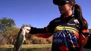 Jerk Bait Fishing at Hartebeespoort Dam | ASFN Bass