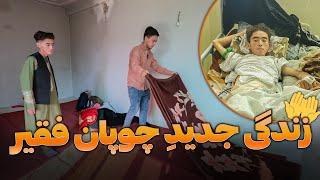 برای چوپان فقیر که مریض بود زندگی نو ساختیم