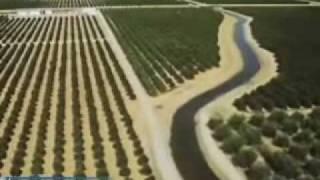 California Agriculture