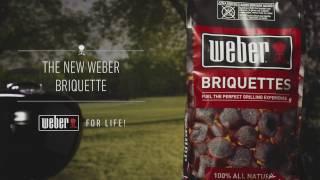 Weber Briquettes