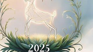 Anul 2025 pt zodia CAPRICORN ️