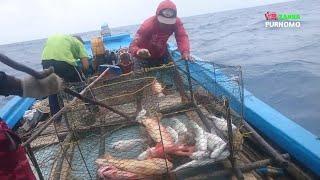 Kebahagiaan Nelayan ketika Usaha Tidak Mengkhianati hasil, Bubu Perangkap Ikan Terbaik