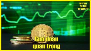 Chu kỳ Bitcoin đang ở giai đoạn quan trọng, đợt tăng giá lịch sử của các Altcoin