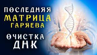 Последняя Матрица Гаряева ️ Очистка ДНК Величайшее Творение Ученого ️ Квантовое исцеление Звуком