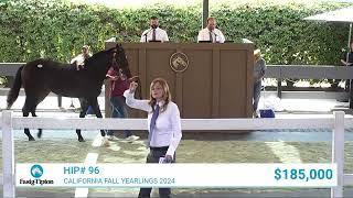 Stay Thirsty colt sells for $250,000 at California Fall Yearlings (2024)