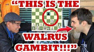 IM Eric Rosen's Walrus Gambit Surprises Filipino Master! IM Eric Rosen vs GrandPAmaster Alan