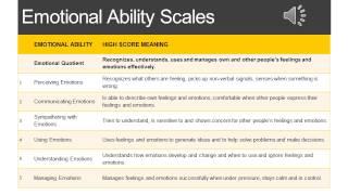 SYNTHESIS Personality and Emotional Intelligence Test