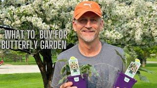 Shopping Spree for Butterfly Garden. What should I buy for my garden?