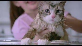 NINE LIVES Trailer (Kevin Spacey, Christopher Walken)