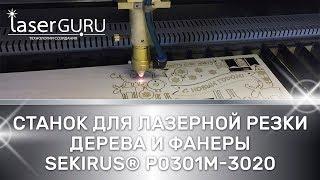  Станок для лазерной резки дерева и фанеры SEKIRUS P0301M-3020