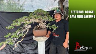 RESTORASI BONSAI GAYA MENGGANTUNG