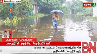 #BREAKING | மழைநீரில் மூழ்கிய நெற்பயிர்கள் | NewsJ