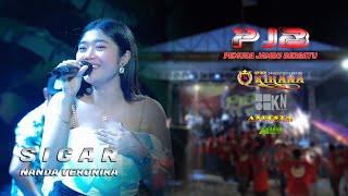 SIGAR ~ NANDA VERONIKA ~ OM KIRANA ft PJB