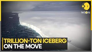 A23A Iceberg's Trillion-Tonne Journey: From Antarctica To South Georgia | World News | WION