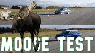 FORD MONDEO SW - VS -  wolkswagen PASSAT - GEYİK TESTİ - MOOSE TEST