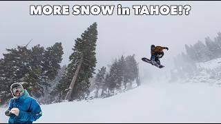 Non-Stop Snowfall in CALIFORNIA Right Now! Tahoe's Getting DUMPED ON!