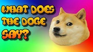 What Does the Doge Say? (Ylvis - The Fox (What Does the Fox Say?) Dank Version