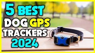 Top 5 - Best Dog GPS Trackers of 2024 - What are The Best GPS Trackers for Dogs