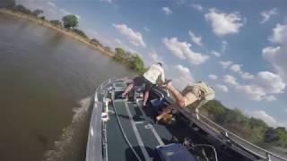 Hippo Attacks Boat