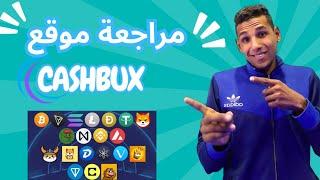 مراجعة موقع cashbux وكم سنربح يوميا؟؟؟؟؟؟