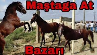 Maştaga At Bazarı. 12.09.2021