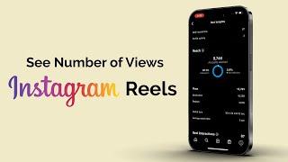 How to See Number of Views on Instagram Reels?