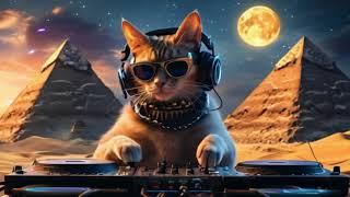 DJ Cat AI Performing at the Pyramids of Egypt - An Epic Sound Journey! 