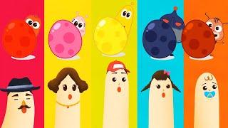 Baby Finger Where Are You? | Finger Family Song | Kids Songs & Nursery Rhymes