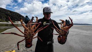 Diving & Fishing | NZ East Coast