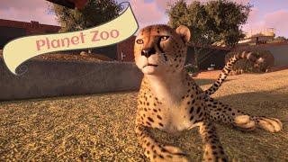 ASMR Let's Play Planet Zoo !! Whisper, Lisp, Ramble !! Building & Reading Animal Names