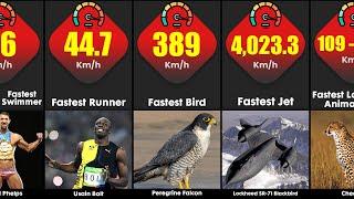 Fastest Things In The World