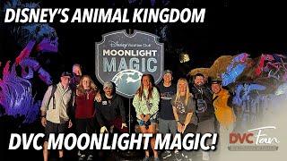 Derek's First DVC Moonlight Magic! - Disney's Animal Kingdom