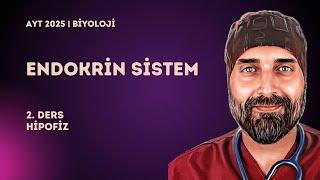 Endokrin Sistem | 2. Ders Hipofiz | 2025 - YKS