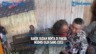 Viral Cucu Paksa Kakeknya yang Sudah Renta Ngemis untuk Jajan