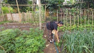 #morningroutine Ima Vandam di pagi hari  Yoga, Trampoline, metik sayur & buka Cafe di Tetebatu