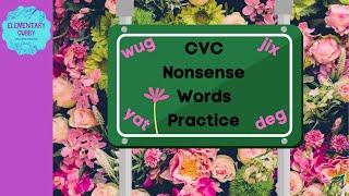 CVC Nonsense Words Practice #3 (no music) Acadience/Dibels NWF