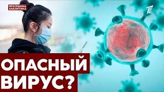 Метапневмовирус: будет ли общий карантин?