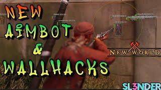 "UPDATED" New World Aimbot in 2023 Hacker's POV