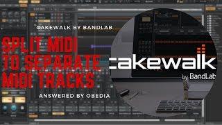 Cakewalk by Bandlab: How to split MIDI region notes to new tracks