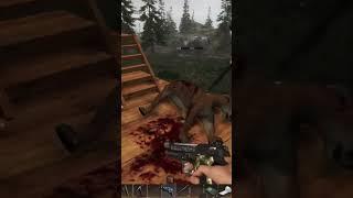 Come Here Kitty! Cougar kill in Subsistence #survivalgame #multiplayer #subsistencegame