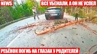 Дерево убило ребёнка на глазах у родителейКадры с видеорегистратора